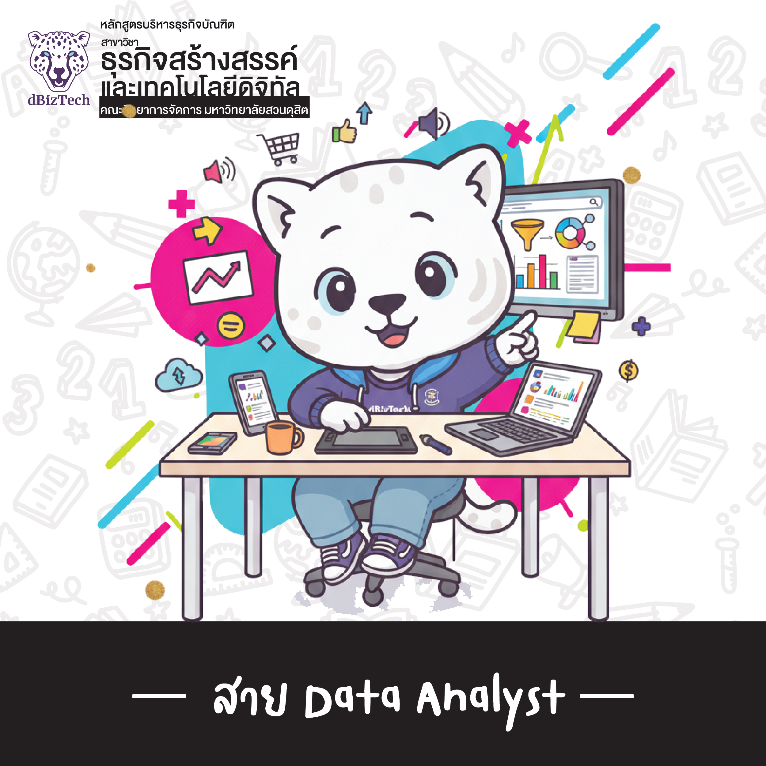 สาย Data Analyst